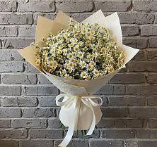 Букет цветов из:  Ромашки #REPLACE_PRED# Черноморском